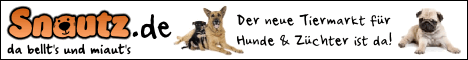 Magazin für Hunde und Katzen